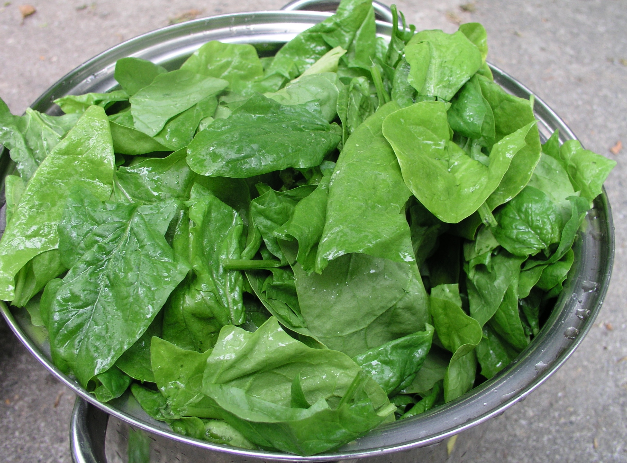 8. Spinach: Leafy Green Ally (image credits: wikimedia)