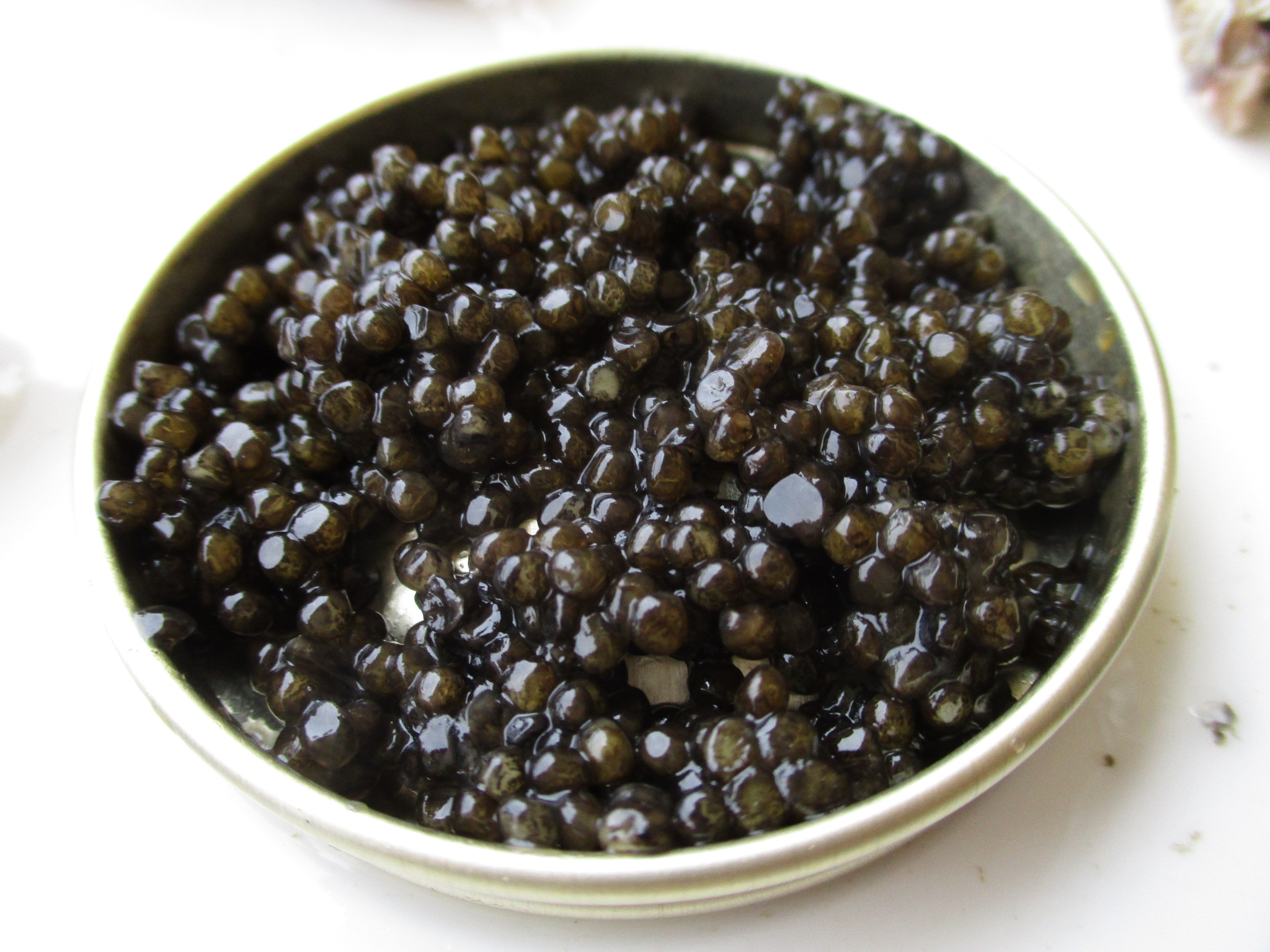 The Caviar Conundrum (image credits: wikimedia)