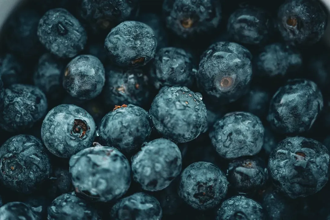 5. Blueberries and Antioxidant-Rich Fruits - Brain Food in Every Bite (Image Credits: Unsplash)