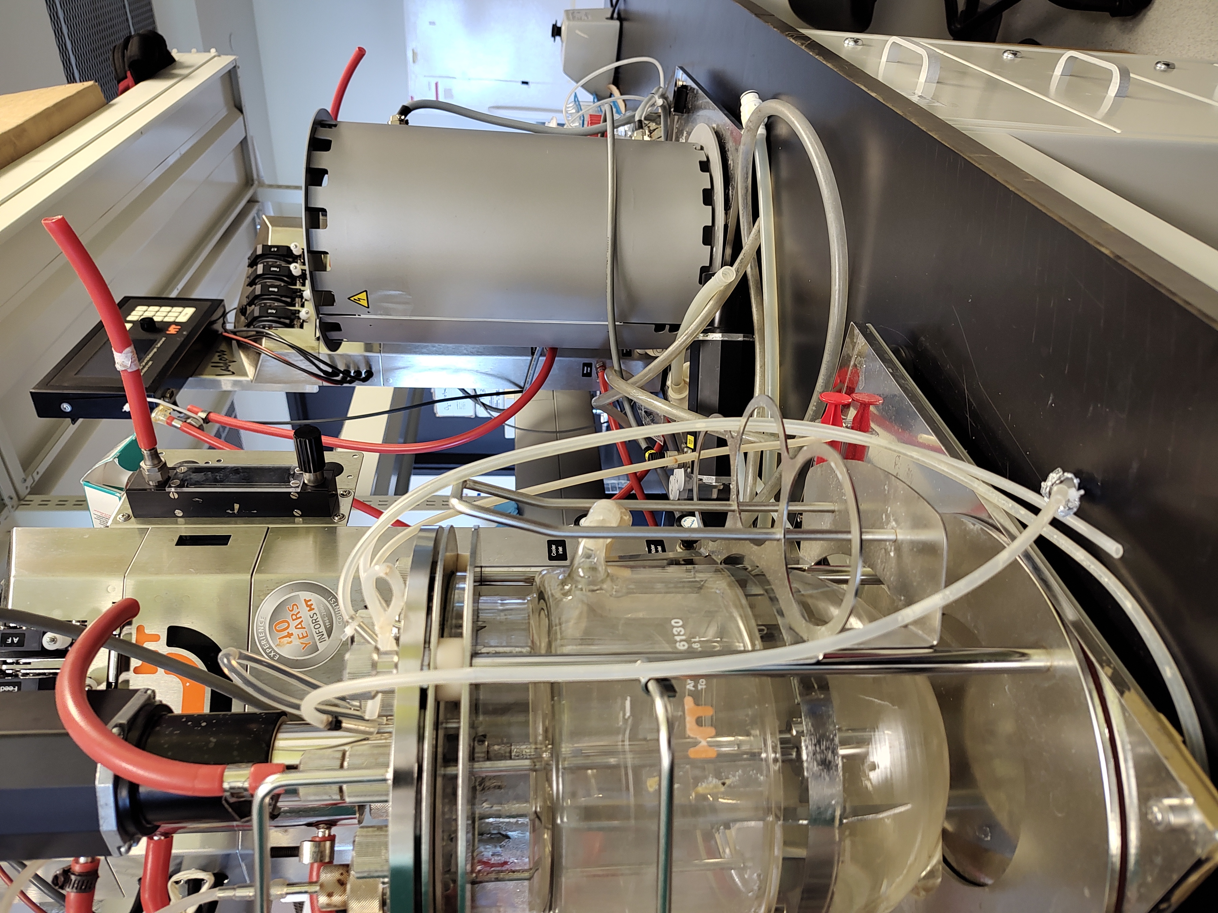 Precision Fermentation Revolutionizes Food Production (Image Credits: Wikimedia)