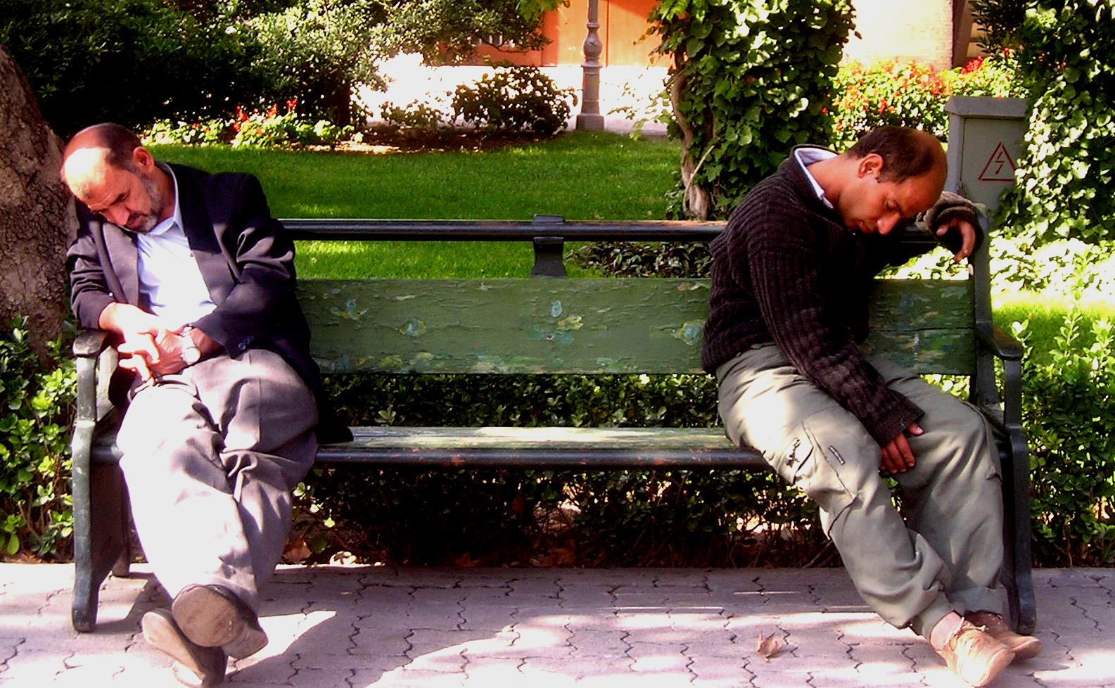 Fatigue and Weakness (image credits: wikimedia)