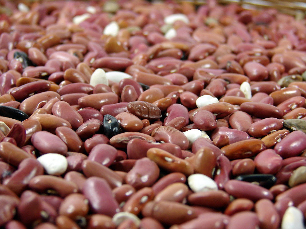Pinto Beans: The Budget-Friendly Fiber Source (image credits: flickr)