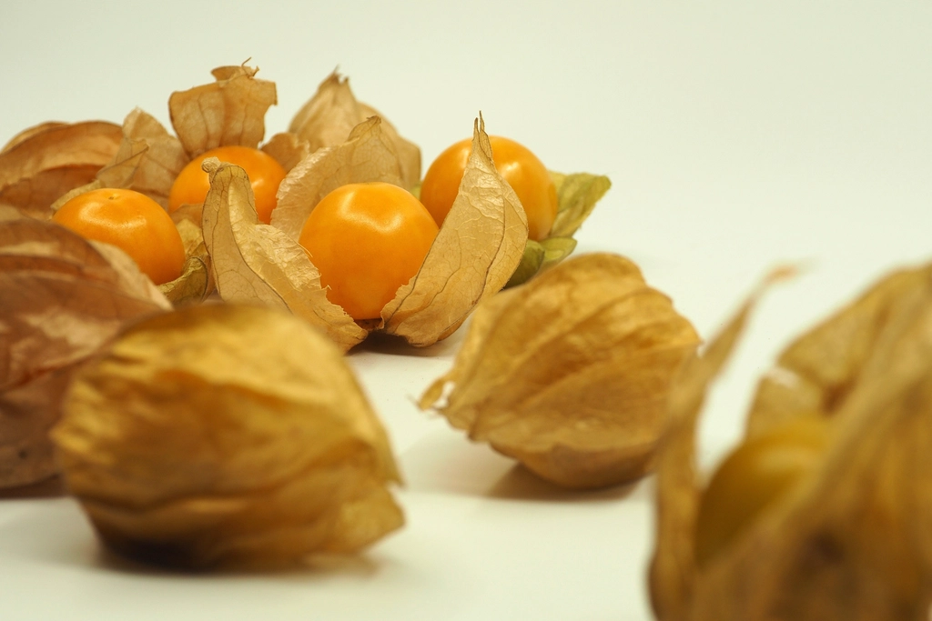 Physalis (Golden Berry) - The Paper Lantern Fruit (image credits: rawpixel)