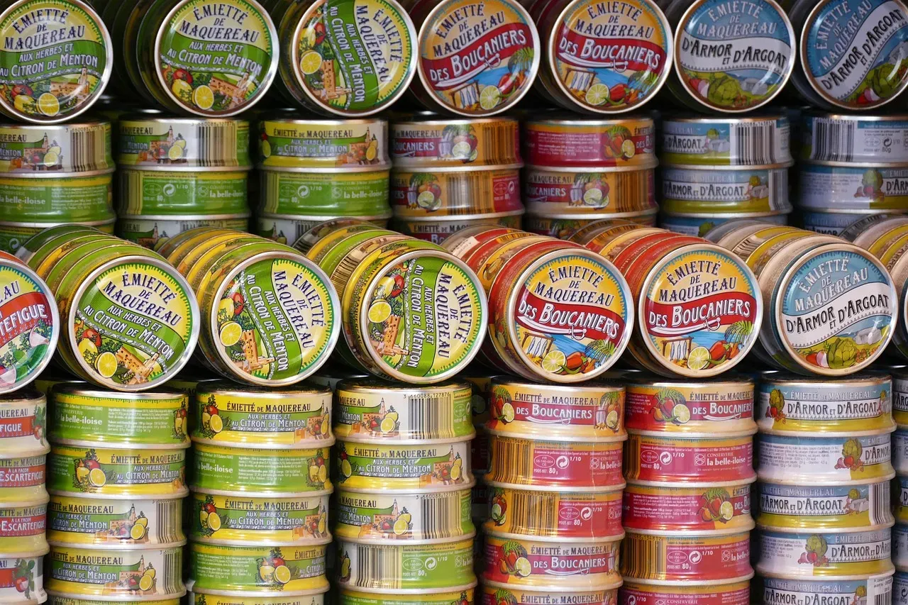 11. Tinned Fish: The Aesthetic That Outran the Appetite (Image Credits: Pixabay)