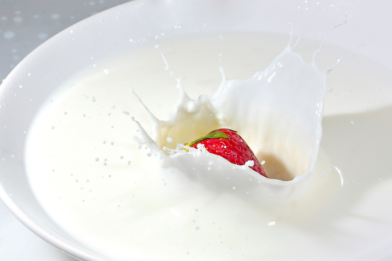Fortified Plant Milks: Safe and Effective for All Diets (image credits: pixabay)