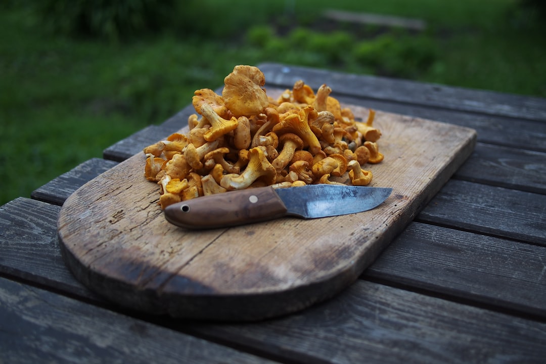 Chanterelle Mushrooms: The Vitamin D Source (image credits: unsplash)