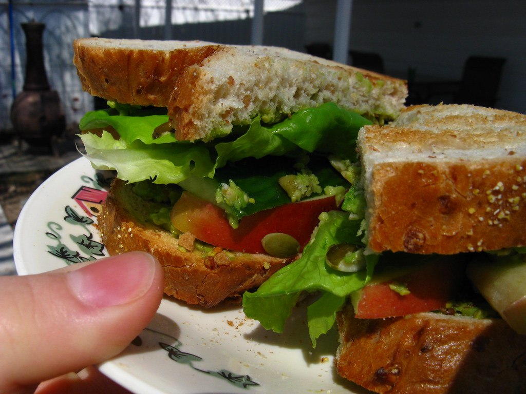 Sustainability Concerns Shaping Choices (Image Credits: Flickr)