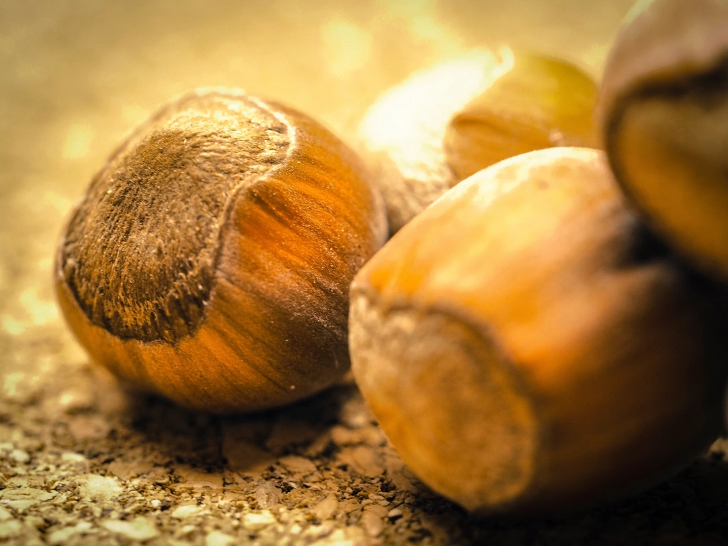 Hazelnuts (image credits: rawpixel)