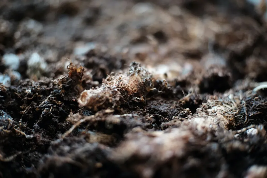 Depleted Soils Are Starving Our Food From the Ground Up (Image Credits: Unsplash)