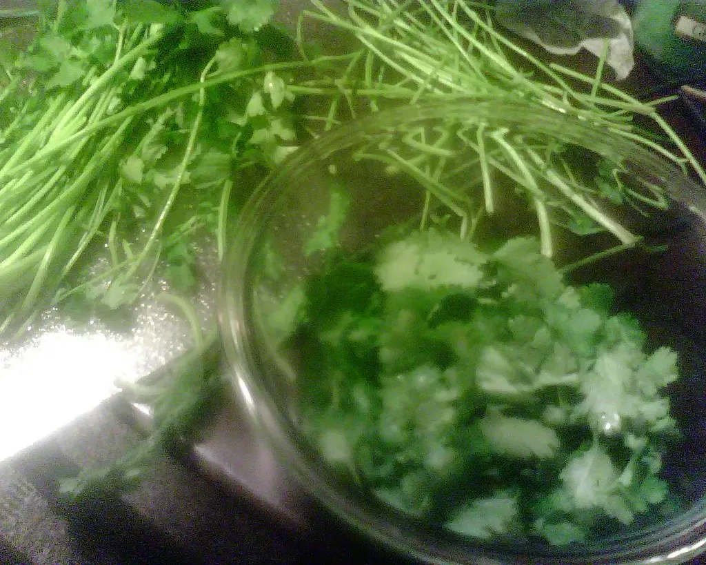 Cilantro Prep Takes Two People and 10 Minutes (Image Credits: Flickr)