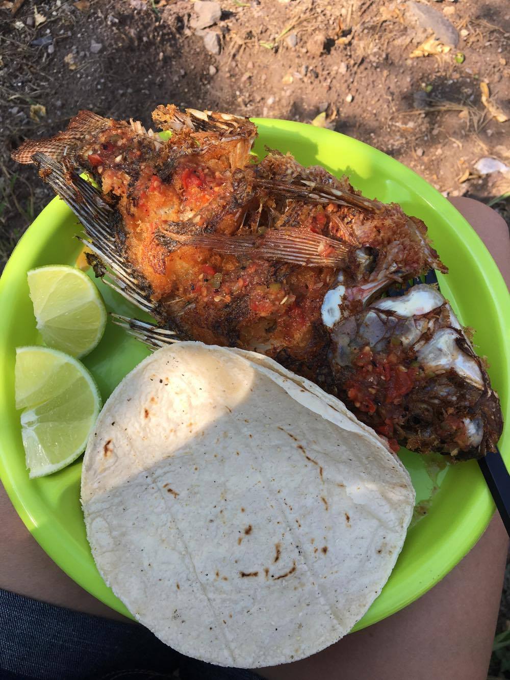 Baked Tilapia with Zesty Salsa (image credits: wikimedia)