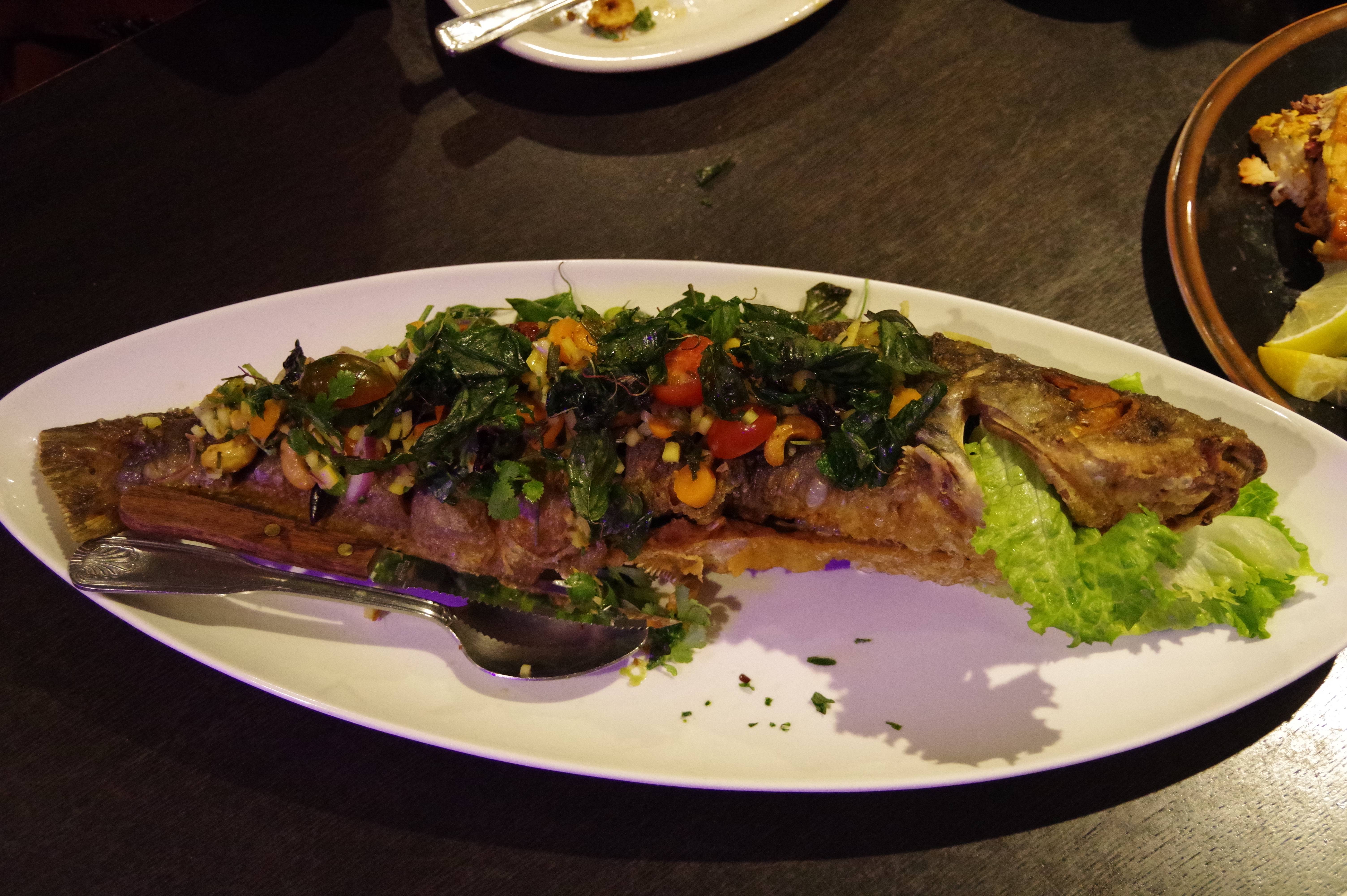 Catfish: A Southern Staple (image credits: wikimedia)