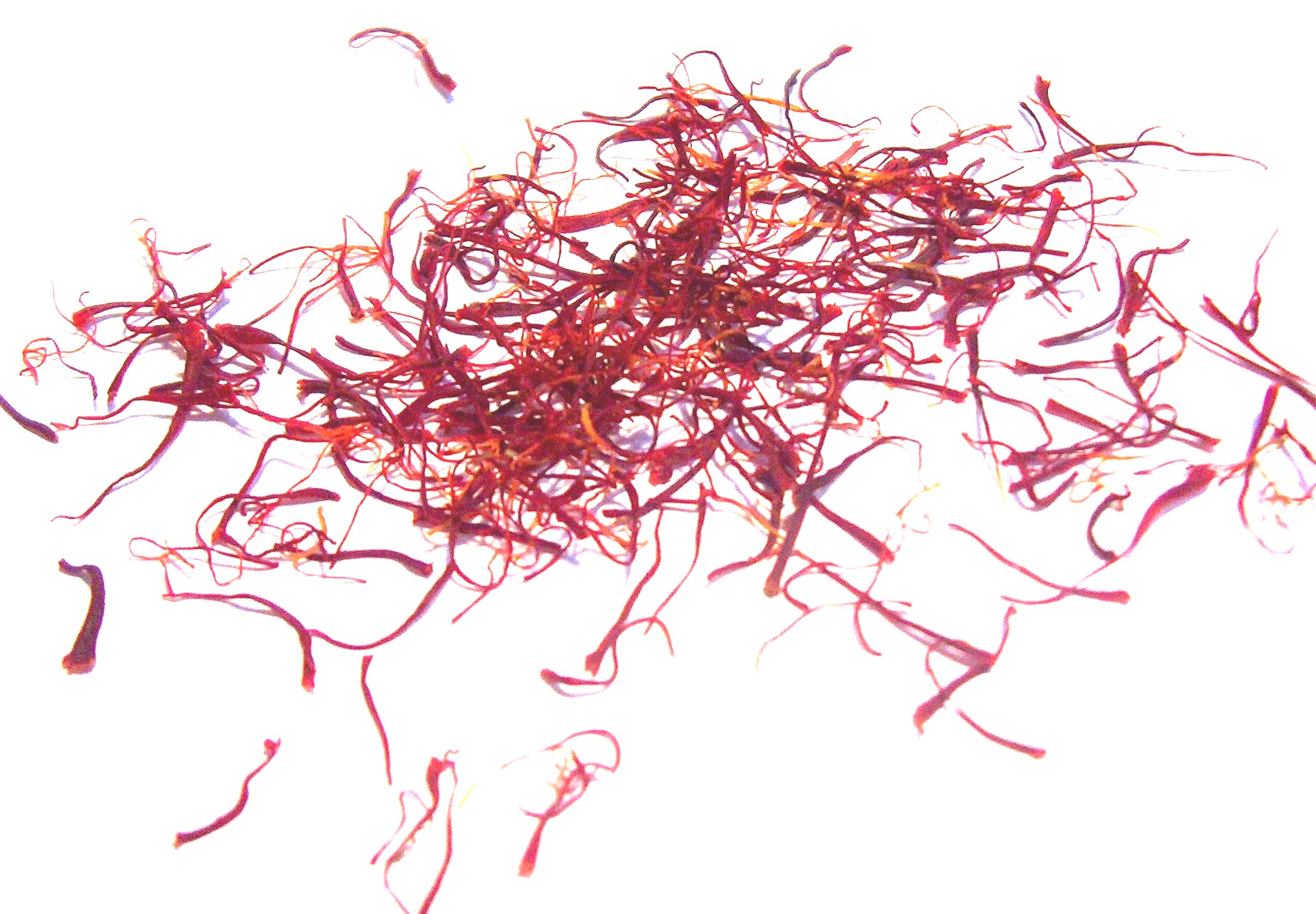 The Alluring Allure of Saffron (image credits: wikimedia)