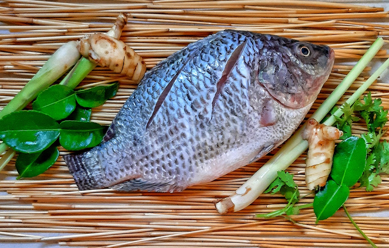 Tilapia: A Nutritional Controversy (image credits: pixabay)