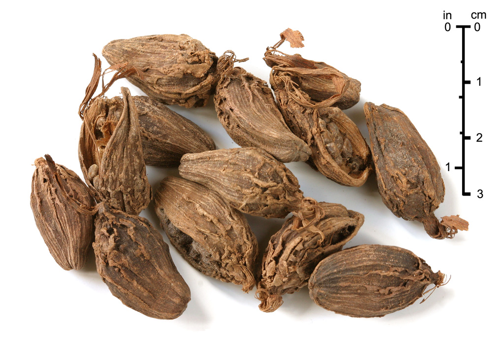 6. Black Cardamom: The Smoky Sibling You’ve Overlooked (image credits: wikimedia)
