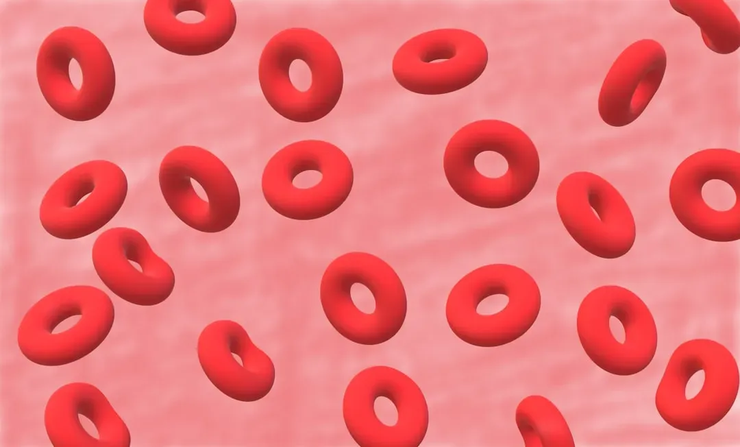 Conclusion (Image Credits: Unsplash)