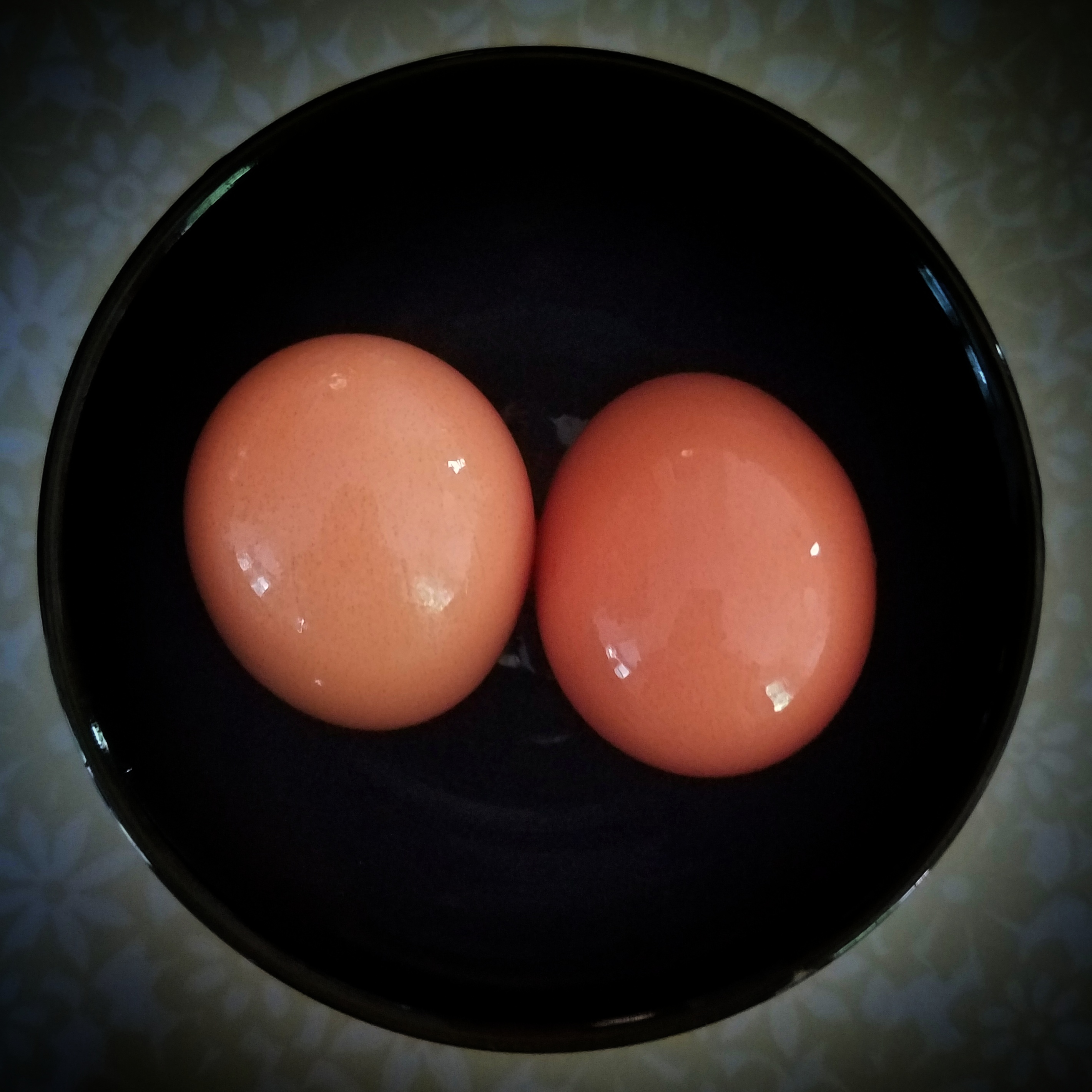 Hard-Boiled Eggs: The Portable Protein Champion (image credits: wikimedia)