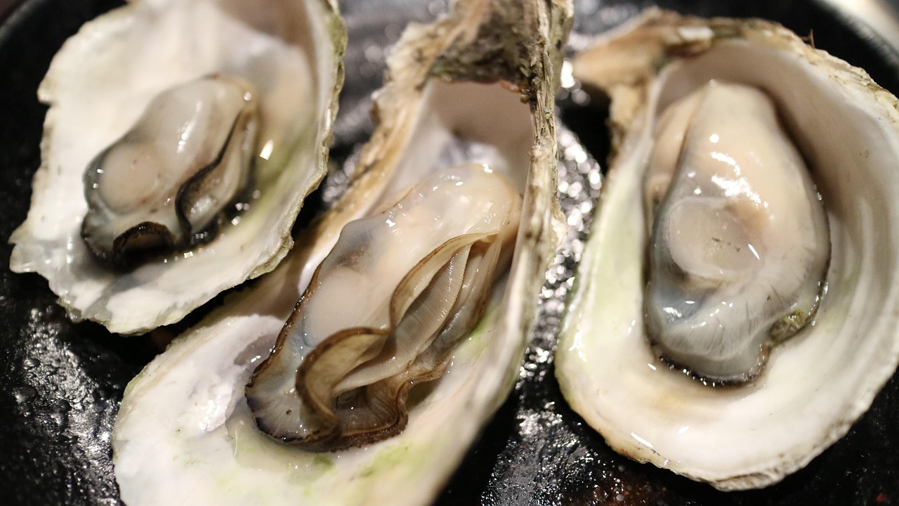 Oysters - Nature's Multivitamin from the Sea (image credits: pixabay)
