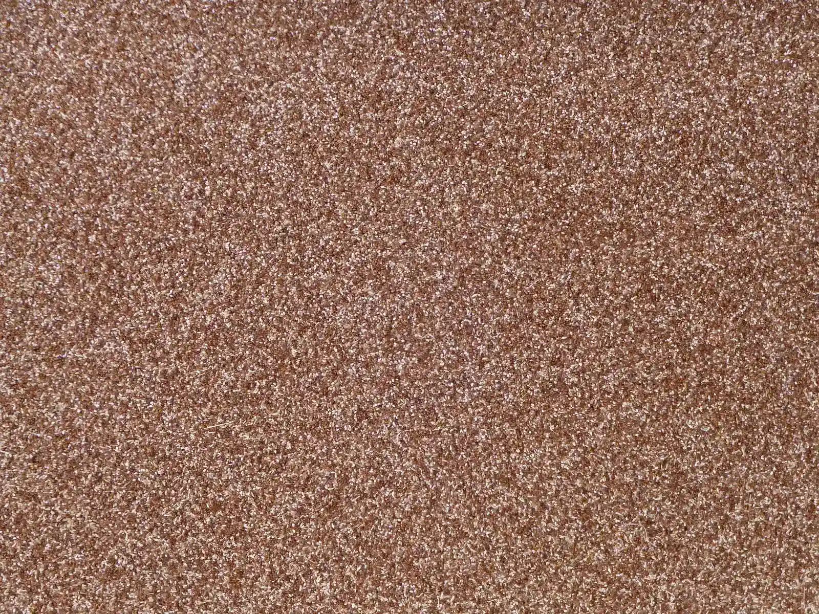 Teff from Ethiopia Offers Glycemic Control (Image Credits: Wikimedia)