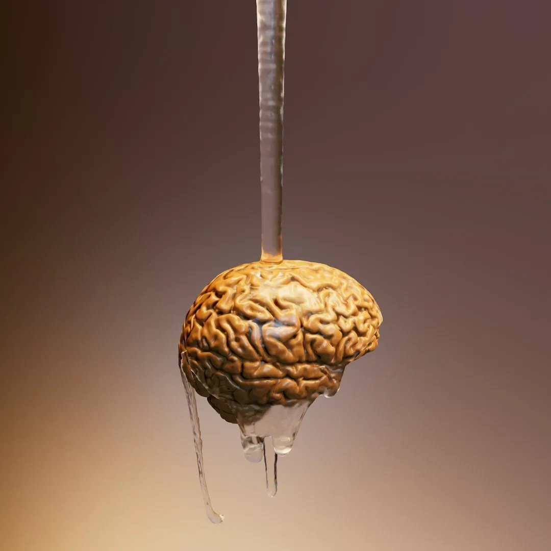 What Happens in the Brain (Image Credits: Unsplash)