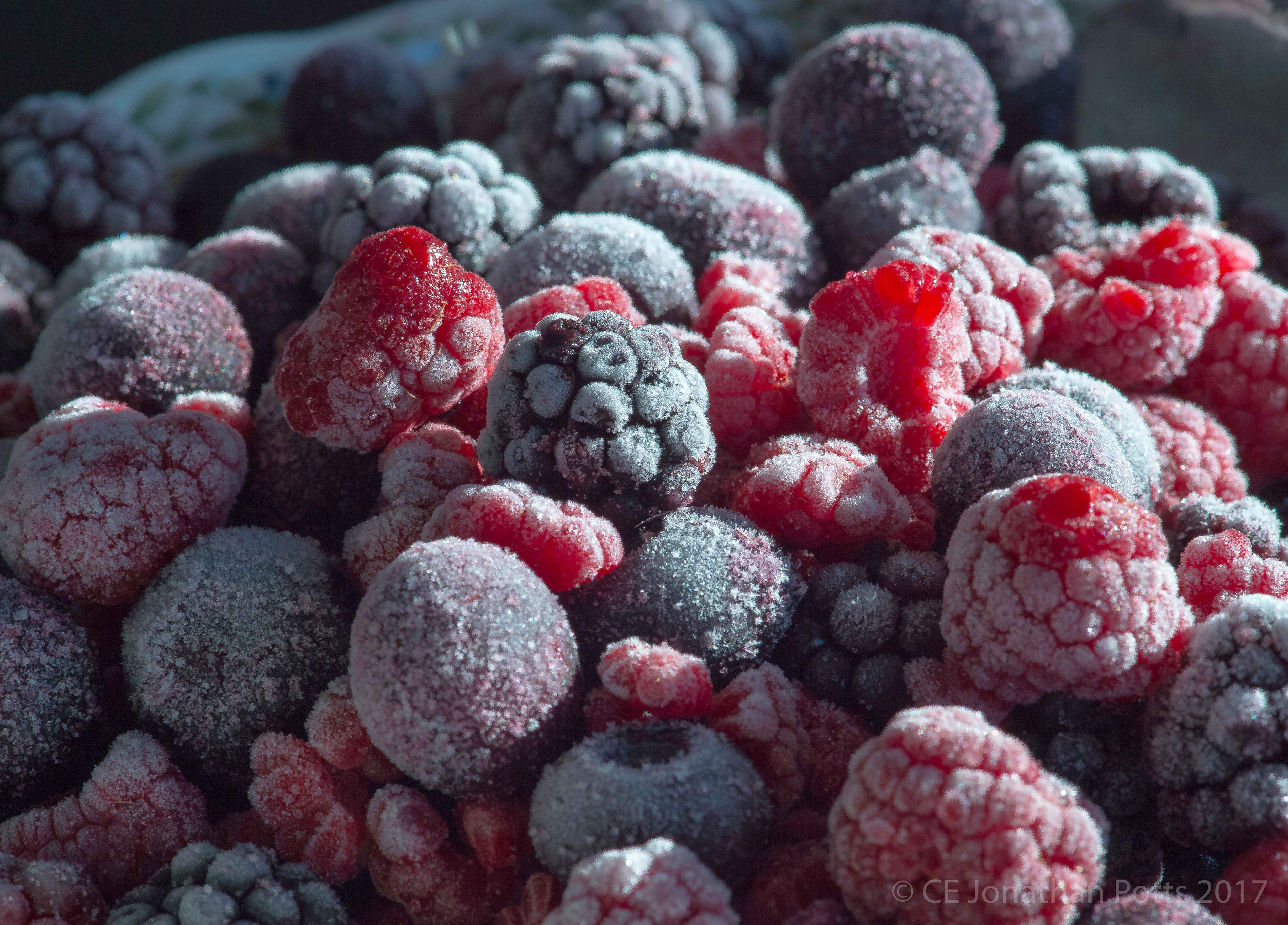 Berries: Nature's Antioxidant Gems (Image Credits: Wikimedia)