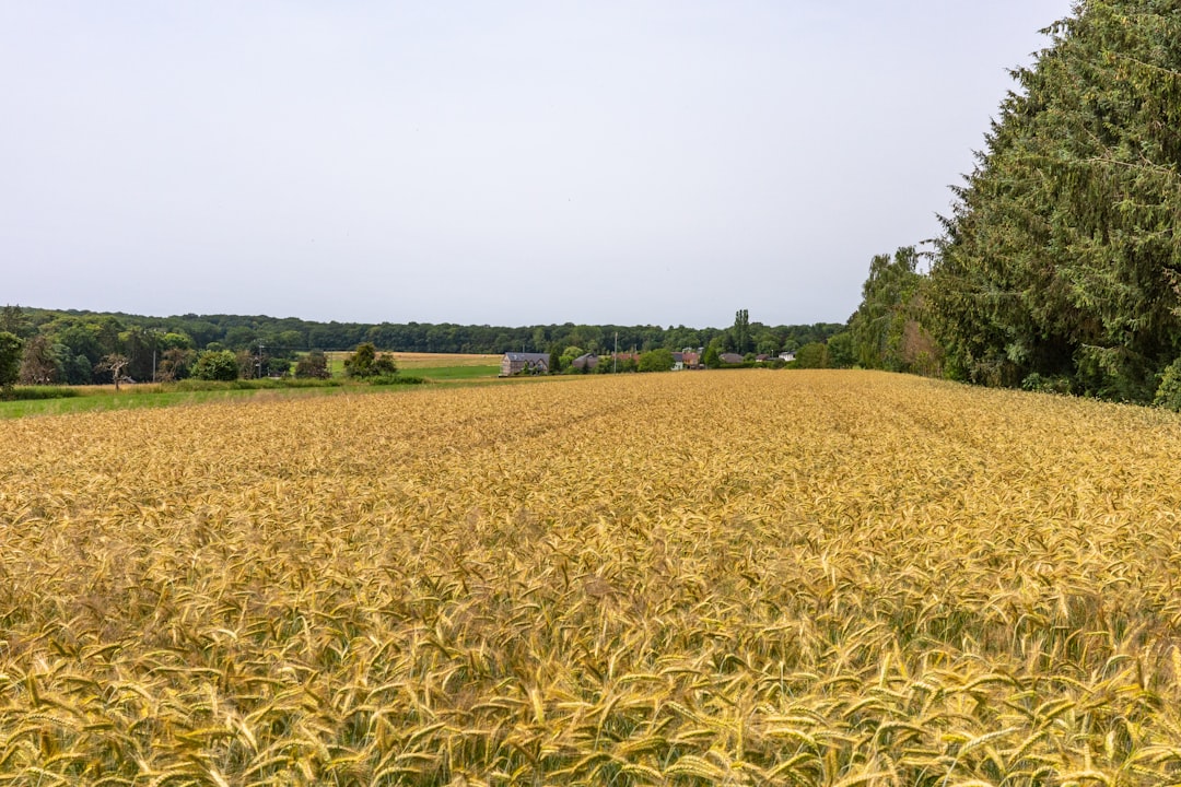Supply Chain Revolution Reshaping Food Systems (Image Credits: Unsplash)
