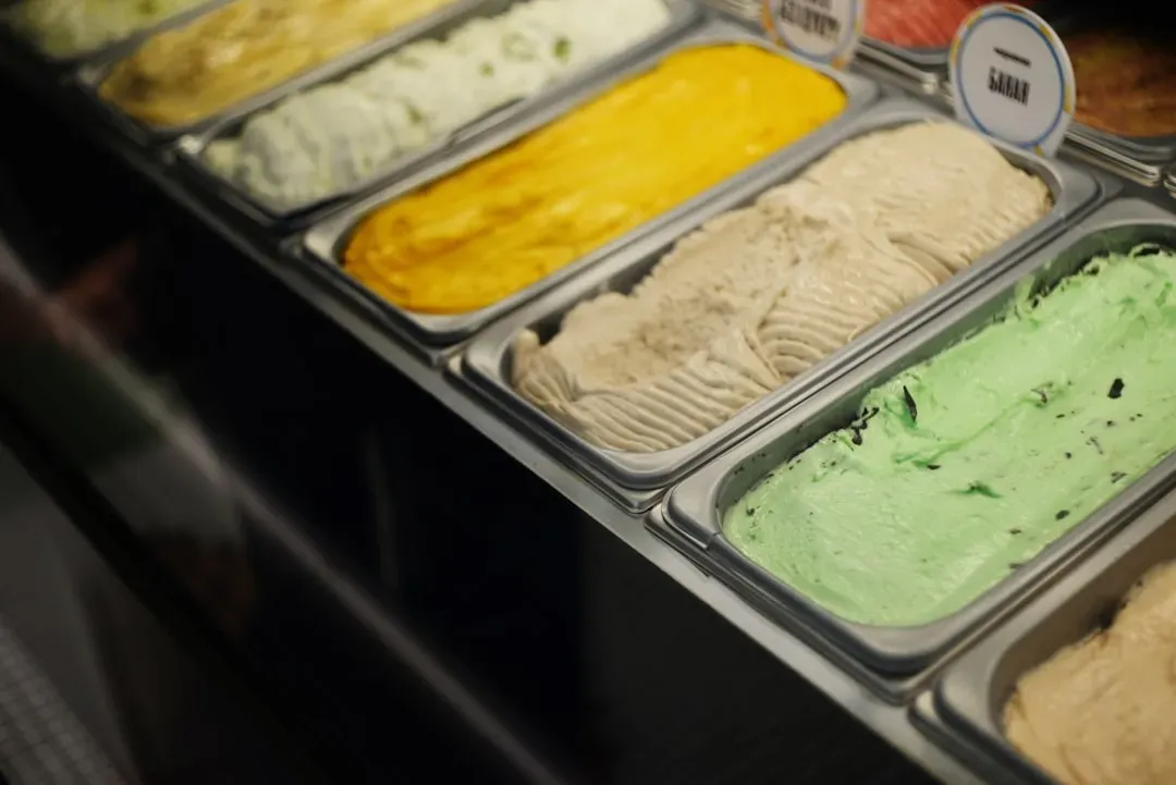 4. Mint Chocolate Chip: The Ambitious Skeptic (Image Credits: Unsplash)