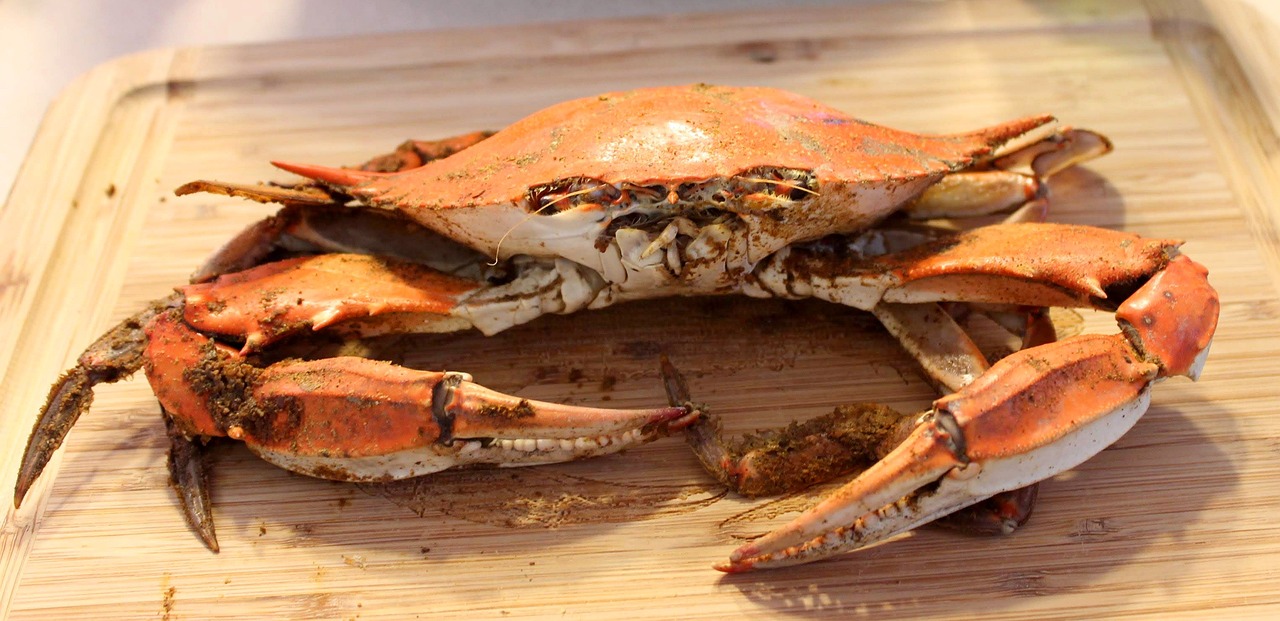 Dungeness Crab: The Protein Powerhouse (image credits: pixabay)