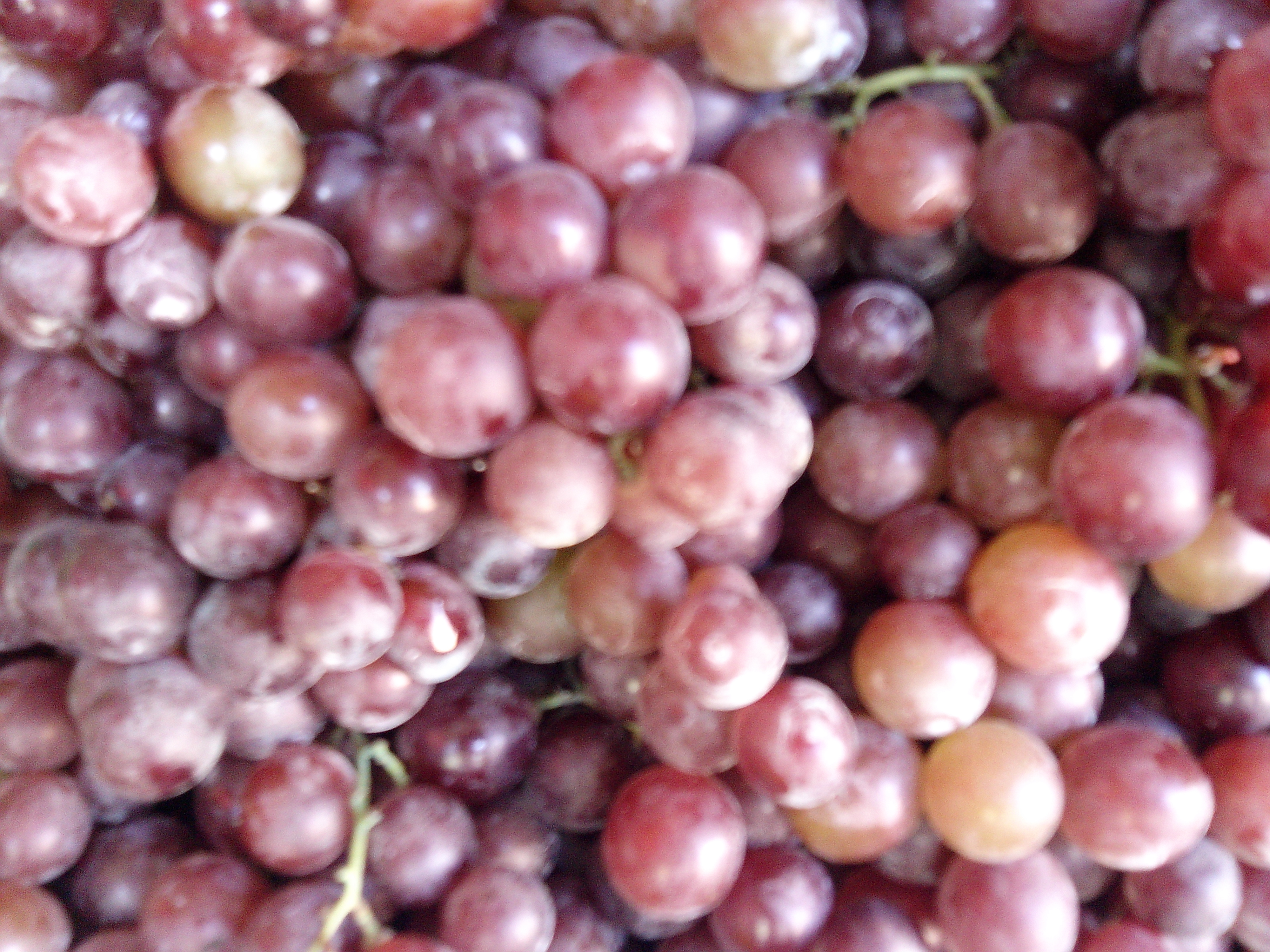 Resveratrol: The Red Wine Secret (image credits: wikimedia)
