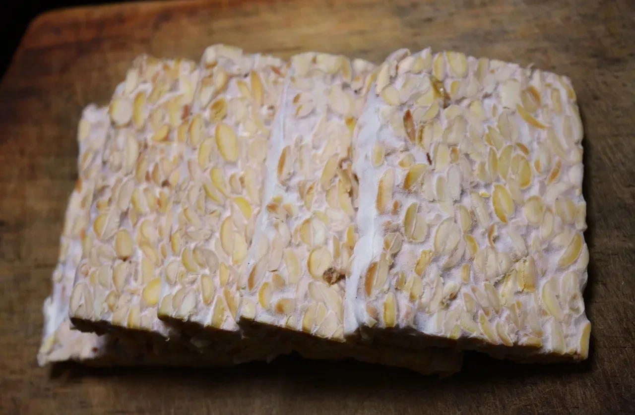 8. Tempeh (Image Credits: Pixabay)