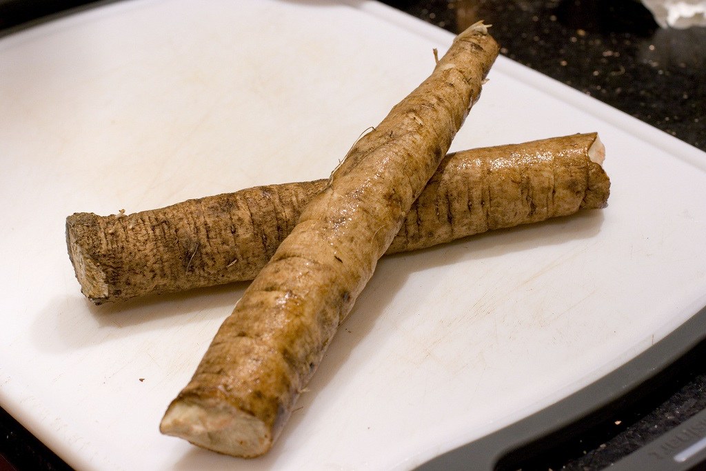 Burdock Root: The Misunderstood Asian Import (image credits: flickr)