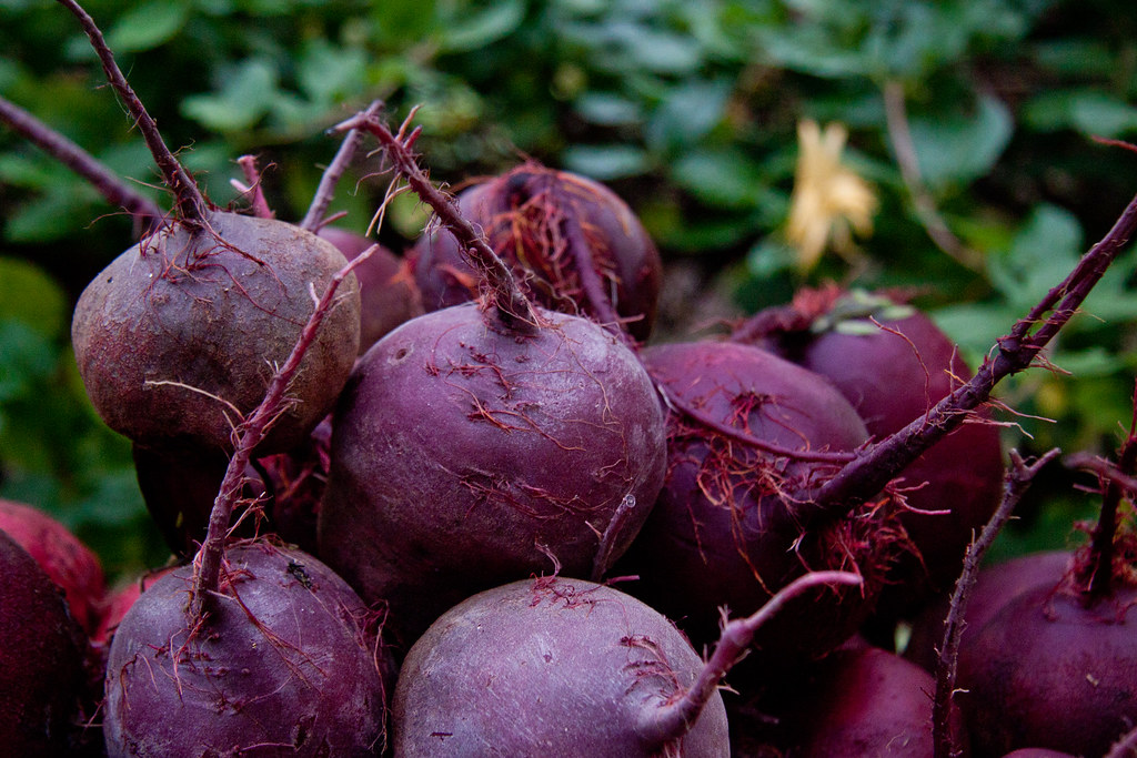 Beets: The Root Vegetable Risk (image credits: flickr)