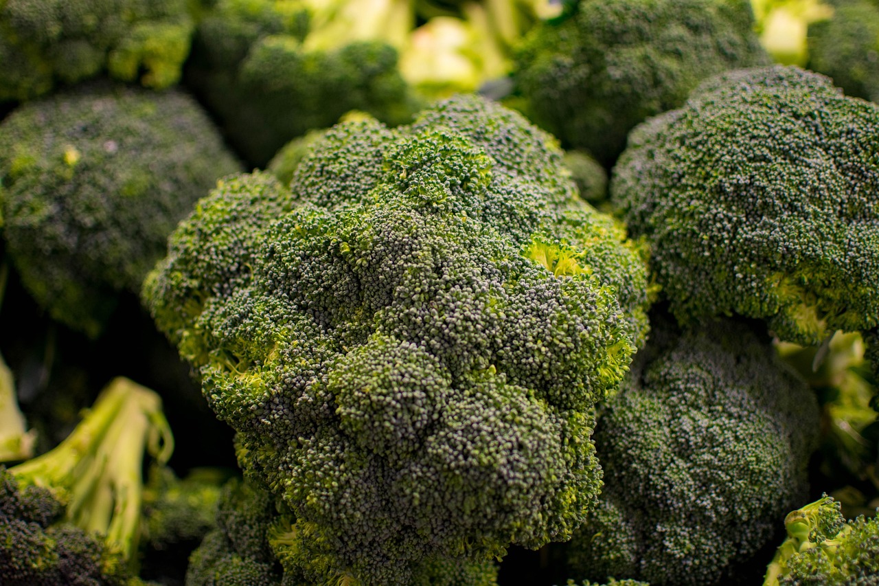 Broccoli: The Crunchy Brain Protector (image credits: pixabay)