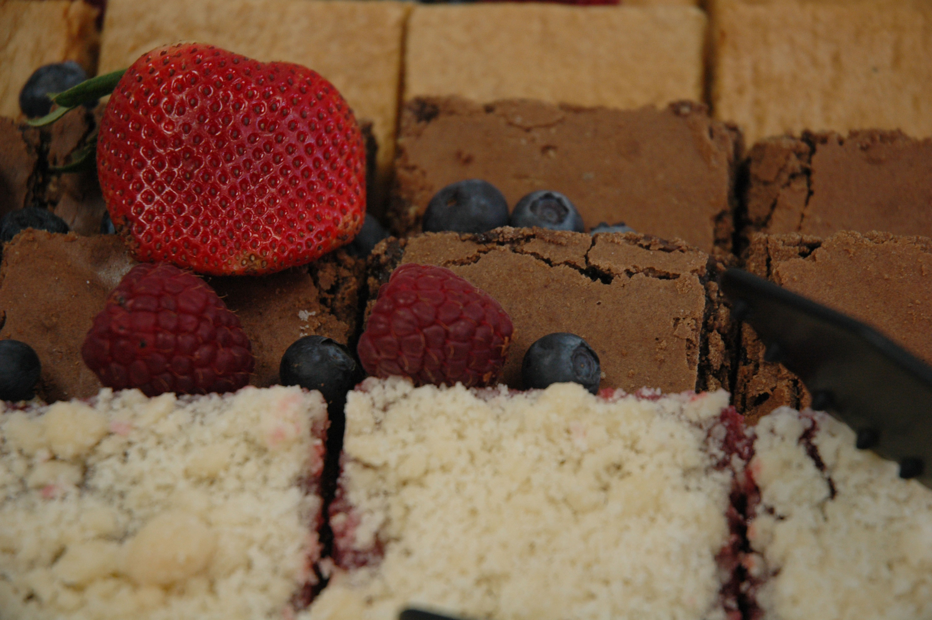 Health Considerations (image credits: wikimedia)