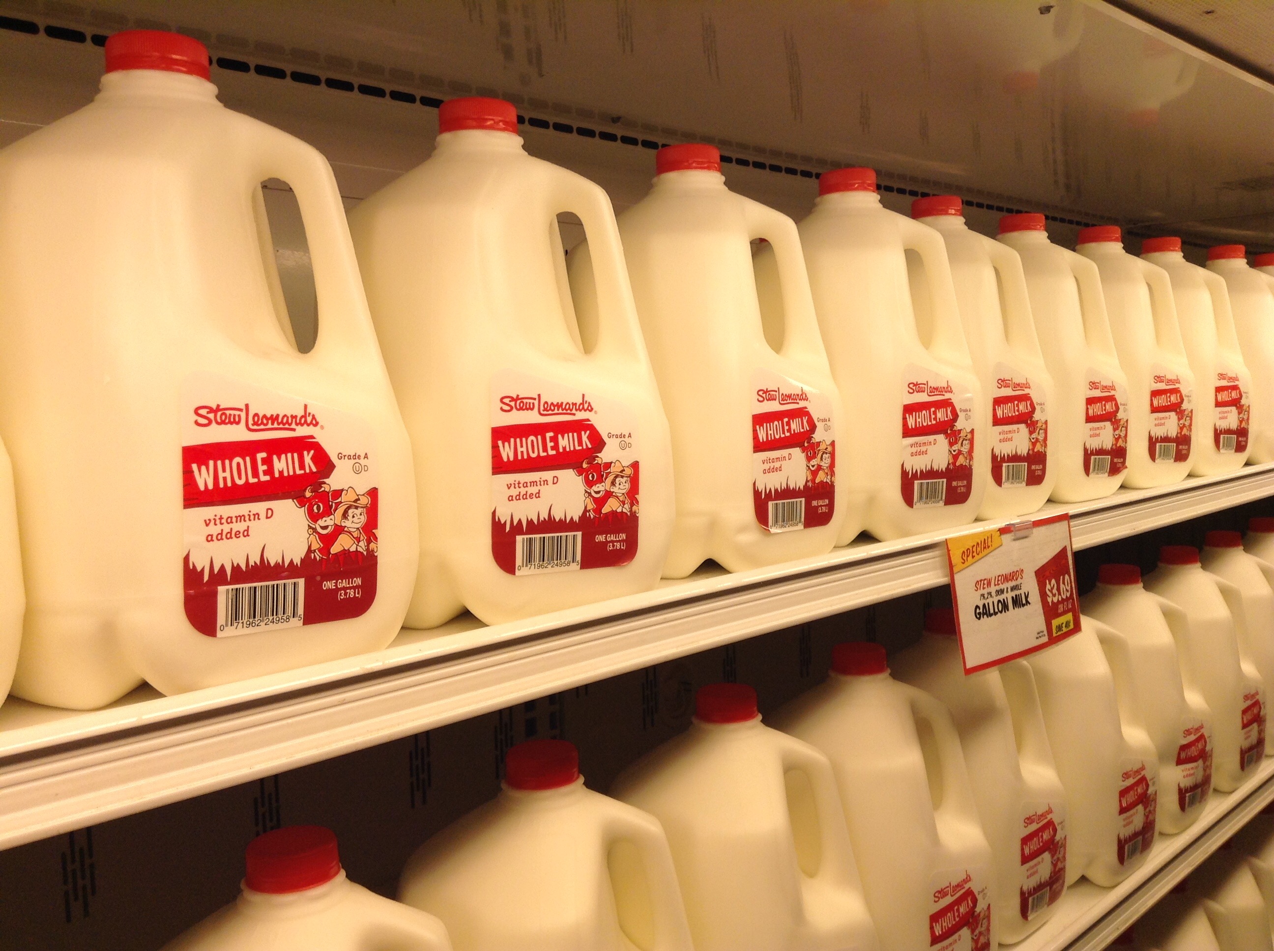 Animal Fats: Proceed With Caution (image credits: wikimedia)