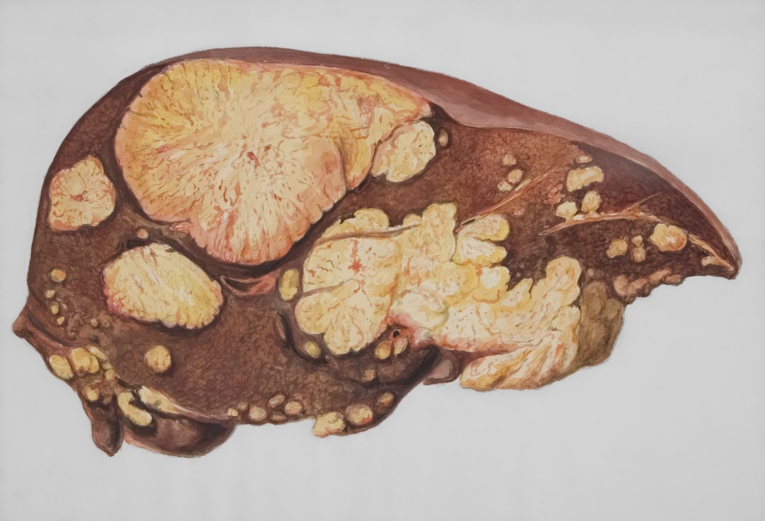 The Liver Damage Nobody Talks About (image credits: unsplash)