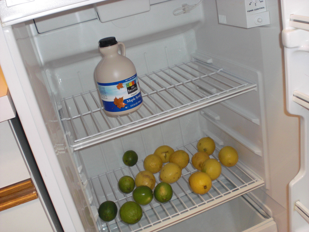 The Refrigerator Magic – Your Lemon's Best Friend (image credits: wikimedia)