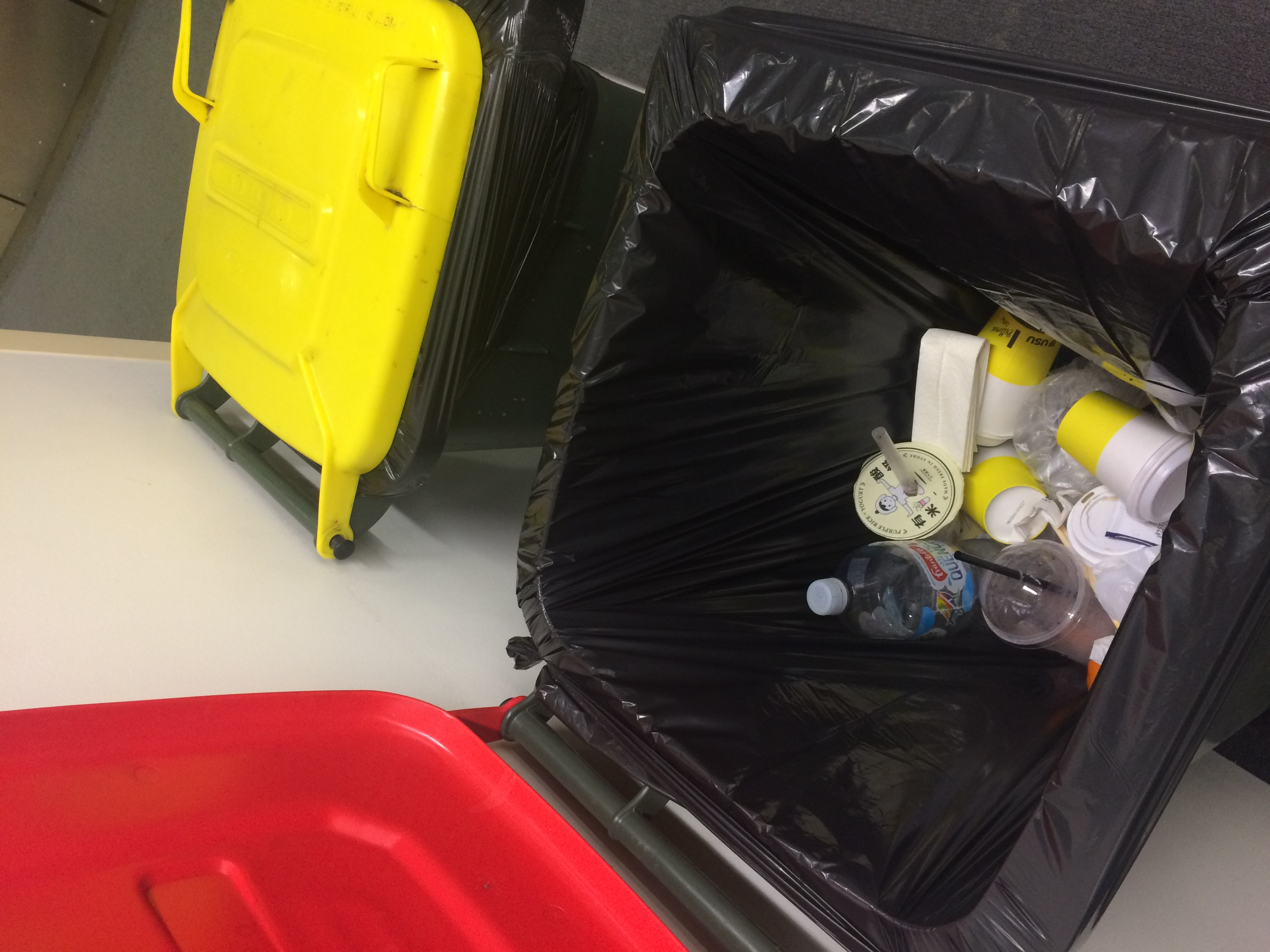 The Importance of Education and Awareness (image credits: wikimedia)