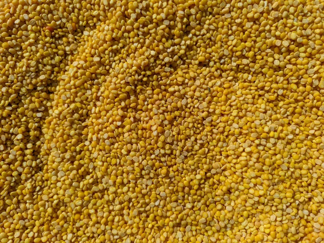 4. Millet: Underrated and Gentle on the Gut (Image Credits: Unsplash)
