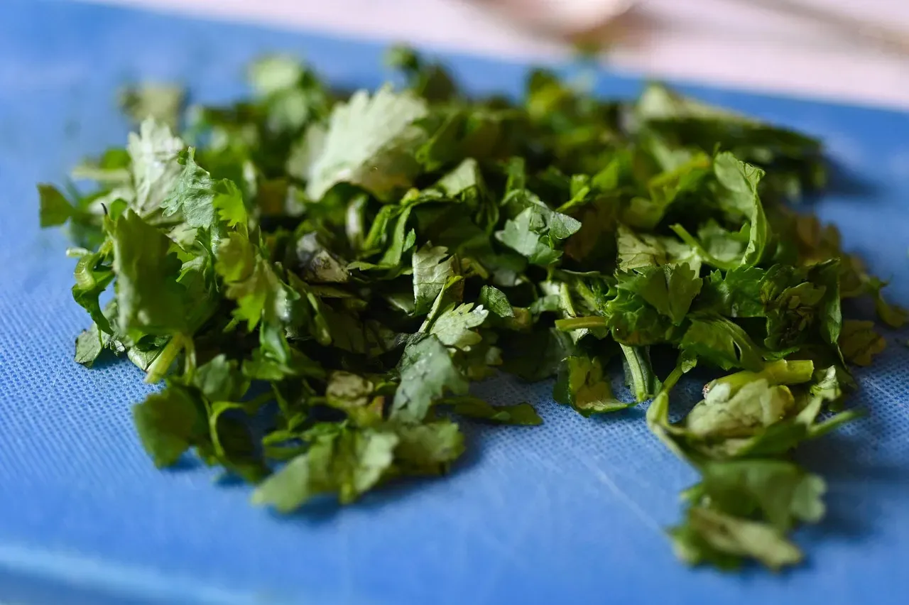 Cilantro: The Tricky but Worthwhile Herb (Image Credits: Pixabay)