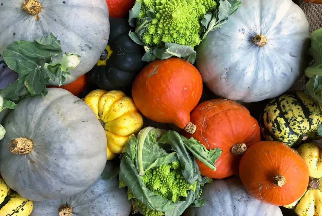 Seasonal Rotation Often Signals Freshness (Image Credits: Unsplash)
