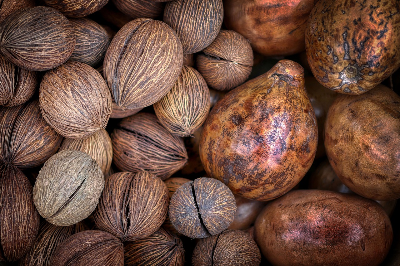 Nutmeg: A Holiday Favorite at Risk (image credits: pixabay)