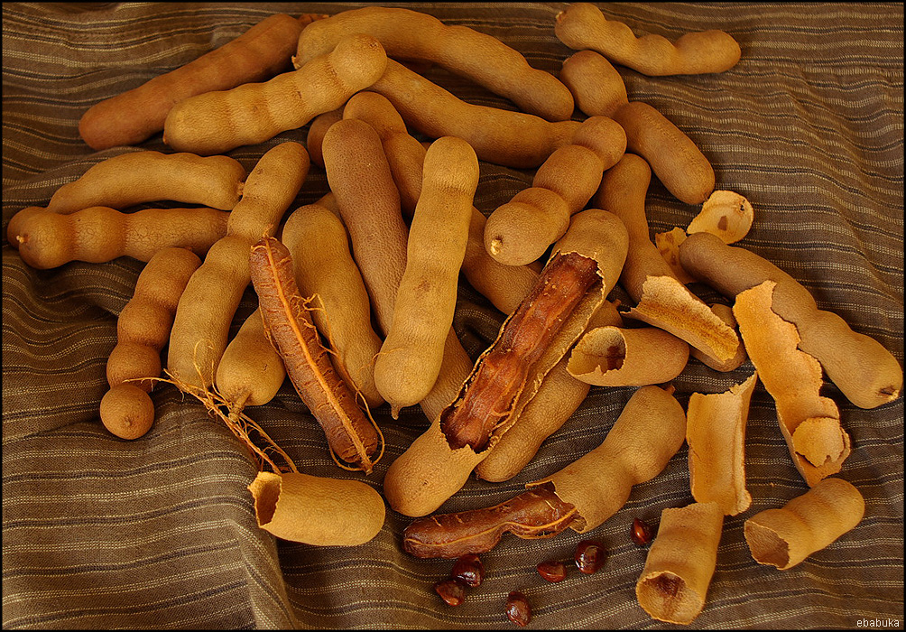 Tamarind: The Sweet-Sour Transformer (image credits: wikimedia)