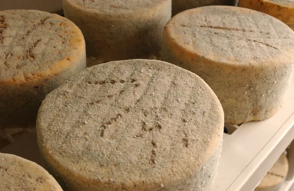 3. There's Always Artisan Cheese in Their Kitchen (Image Credits: Flickr)