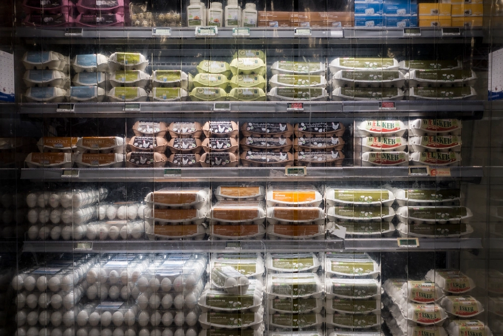 Dairy Dilemmas: Milk, Cheese, and Tariff Fallout (image credits: rawpixel)