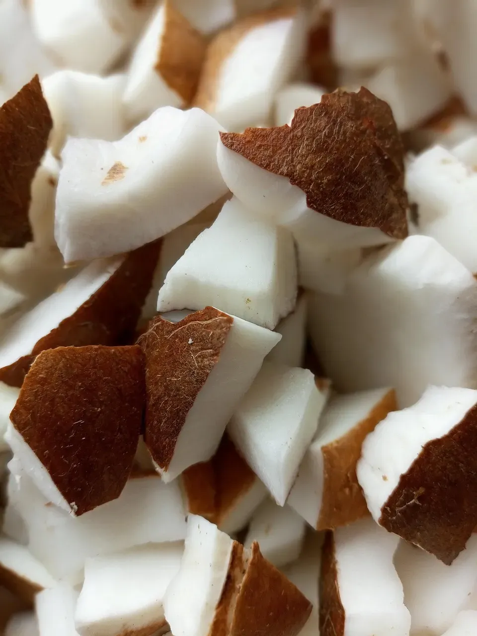 Organic Coconut Clusters and Keto Snacks (Image Credits: Pixabay)