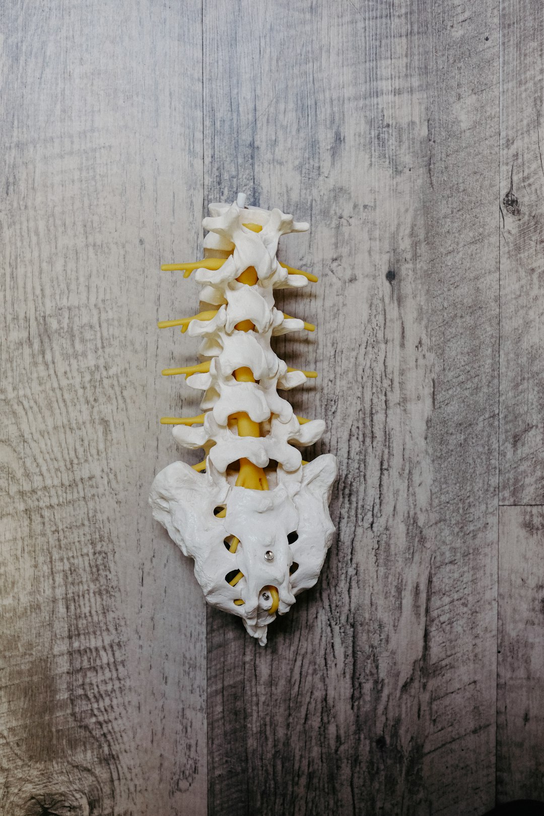 3. Bone and Back Pain (image credits: unsplash)