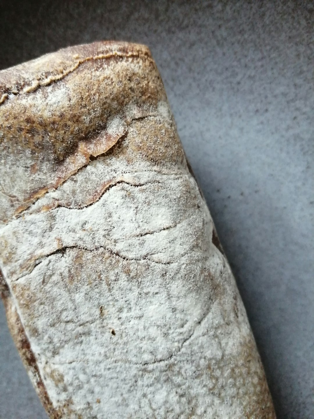 Why Bread Becomes Mold's Favorite Target (image credits: unsplash)