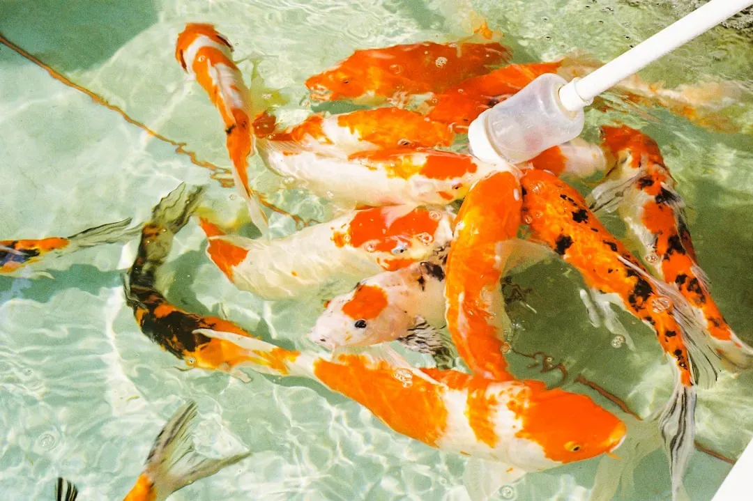 Fertilizer and Fish Bait, Not Fine Dining (Image Credits: Unsplash)