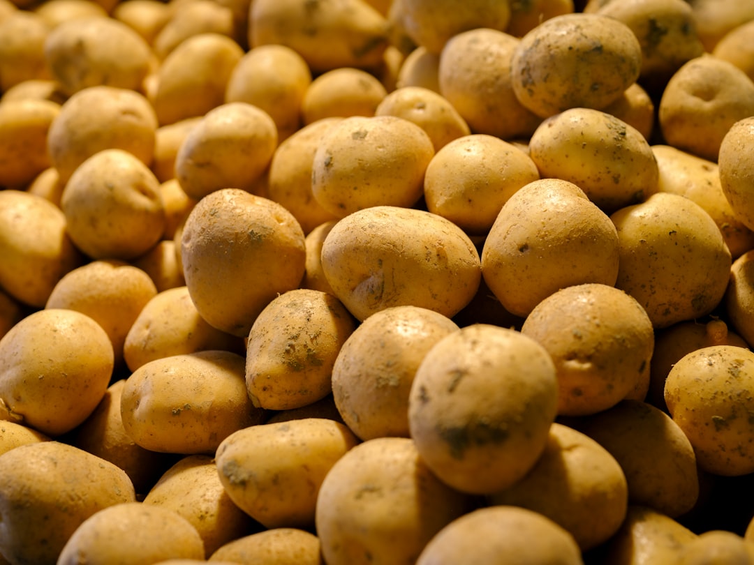 Potatoes (image credits: unsplash)